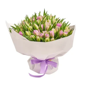 101 Фиолетовый пионовидный тюльпан