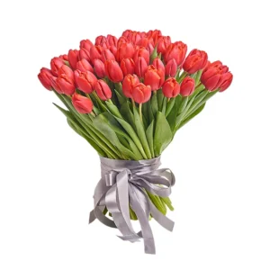 101 Красный тюльпан