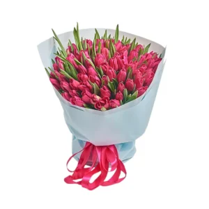 101 Малиновый тюльпан