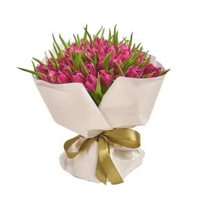 51 Фиолетовый пионовидный тюльпан