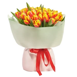 51 красно-желтый Тюльпан