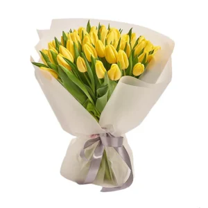 51 Желтый тюльпан